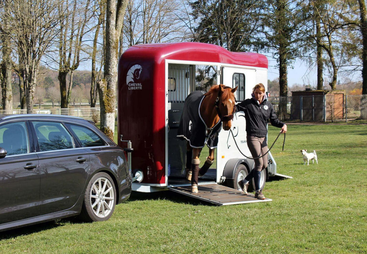remorque van à chevaux liberte ptac 2600 Kg